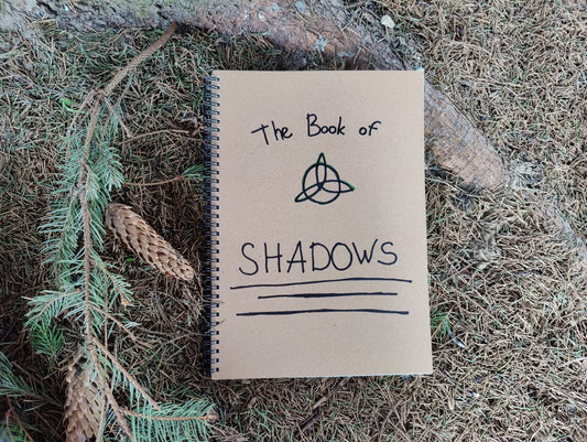 The Book of Shadows Charmed Brain Drain BOS