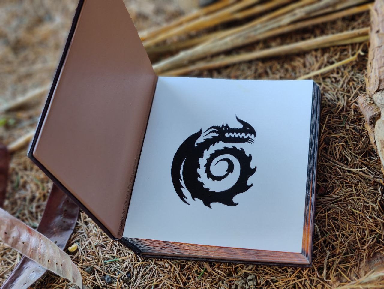 Book How to Train Your Dragon HTTYD