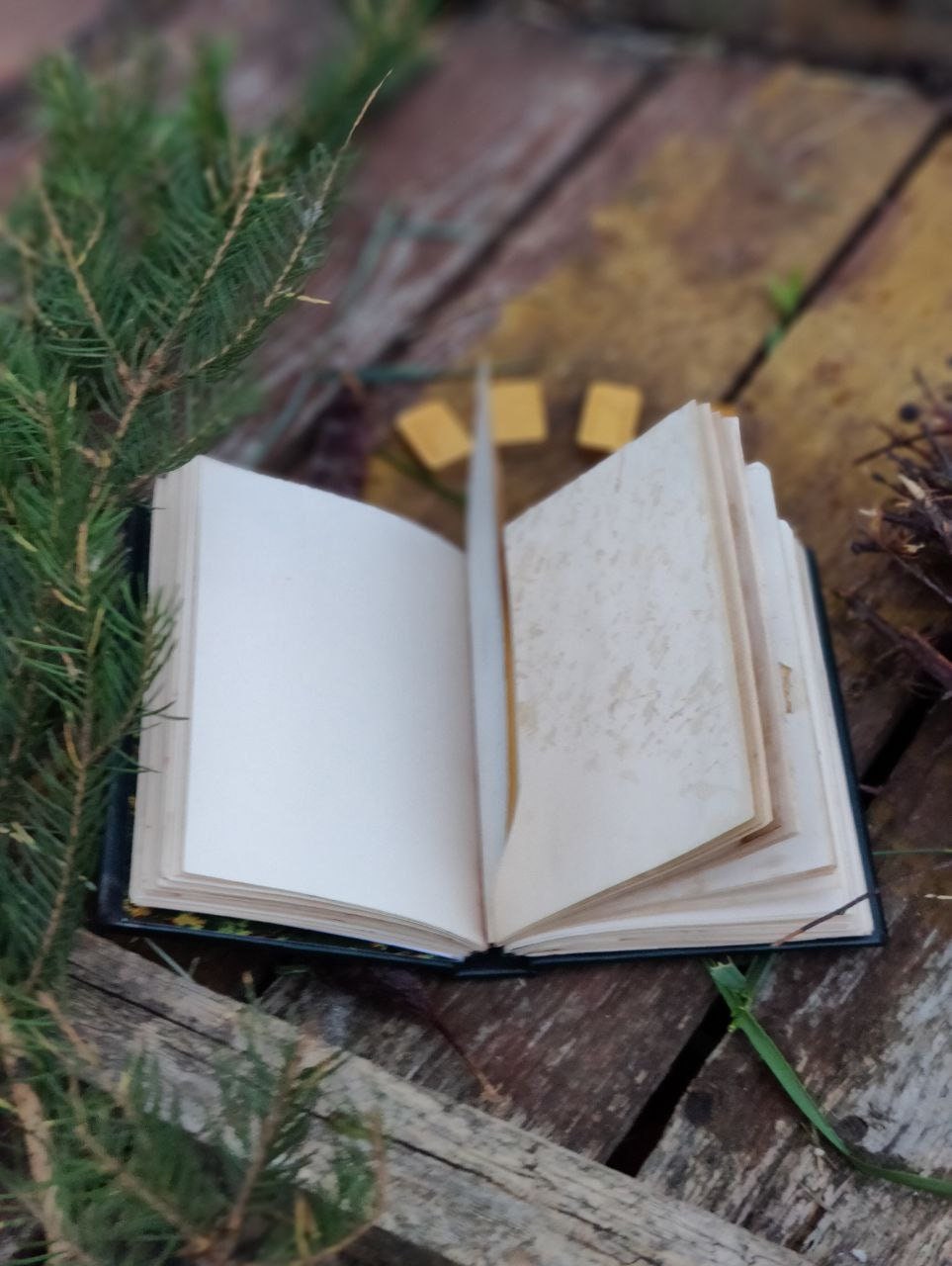 Notebook Book of Shadows Wicca Charmed Blank pages delivery from USA