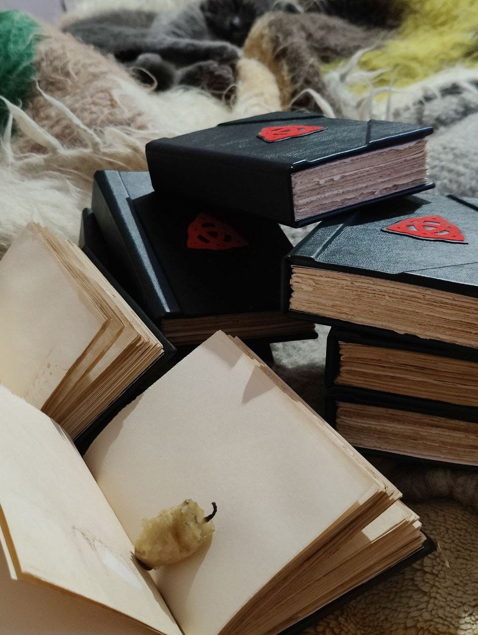 Notebook Book of Shadows Wicca Charmed Blank pages delivery from USA