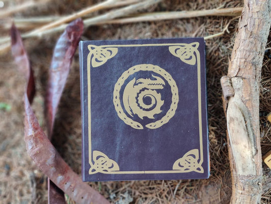 Book How to Train Your Dragon HTTYD