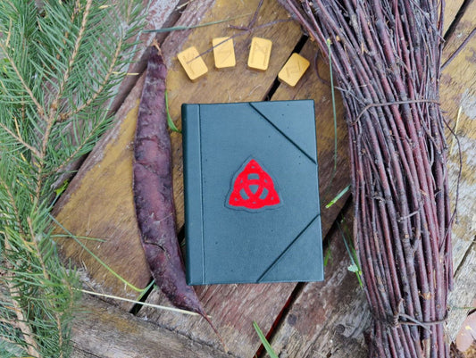 Notebook Book of Shadows Wicca Charmed Blank pages delivery from USA