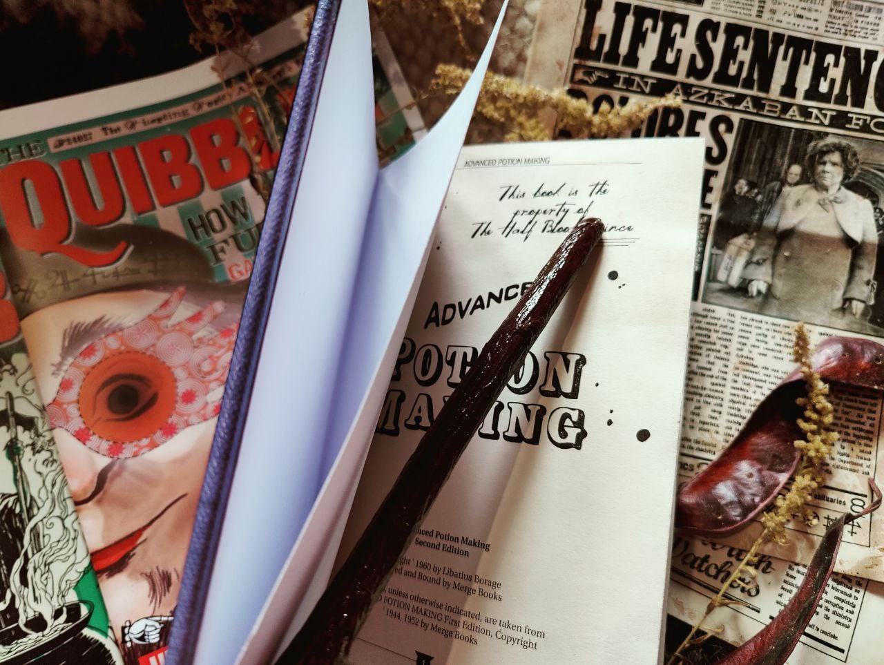 Advanced potion making halfblood prince full book 190 pages